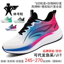 体考鞋跑步鞋日常通勤休闲鞋轻便碳板跑鞋运动鞋百搭旅游鞋莆田鞋